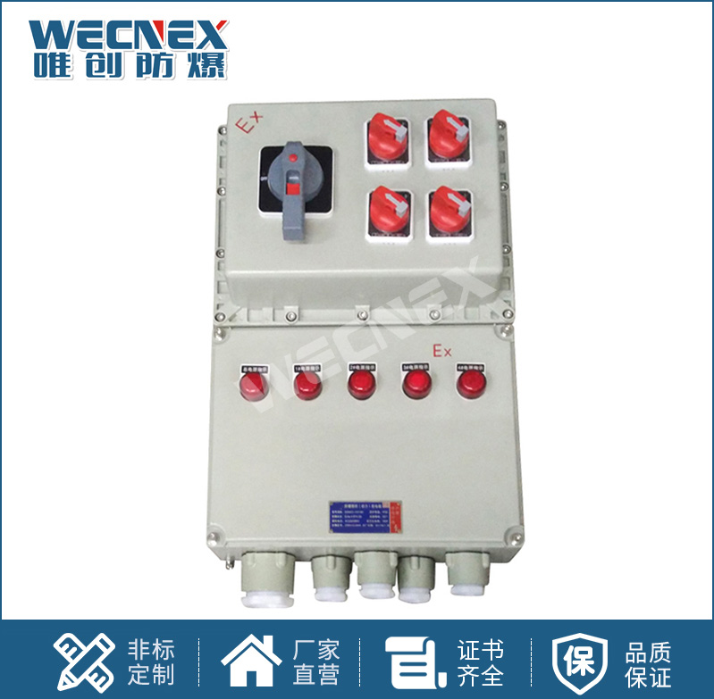 BXX 防爆動(dòng)力檢修箱